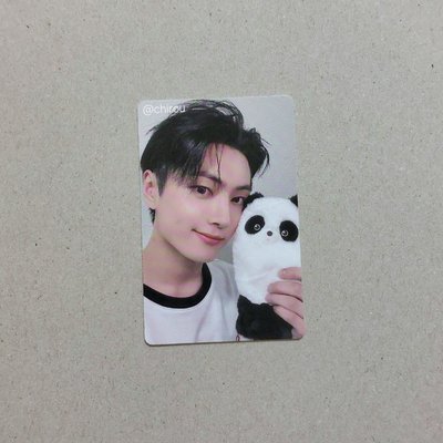 Enhypen 綜星Jay 一直娛預售3.0 熊貓特典
