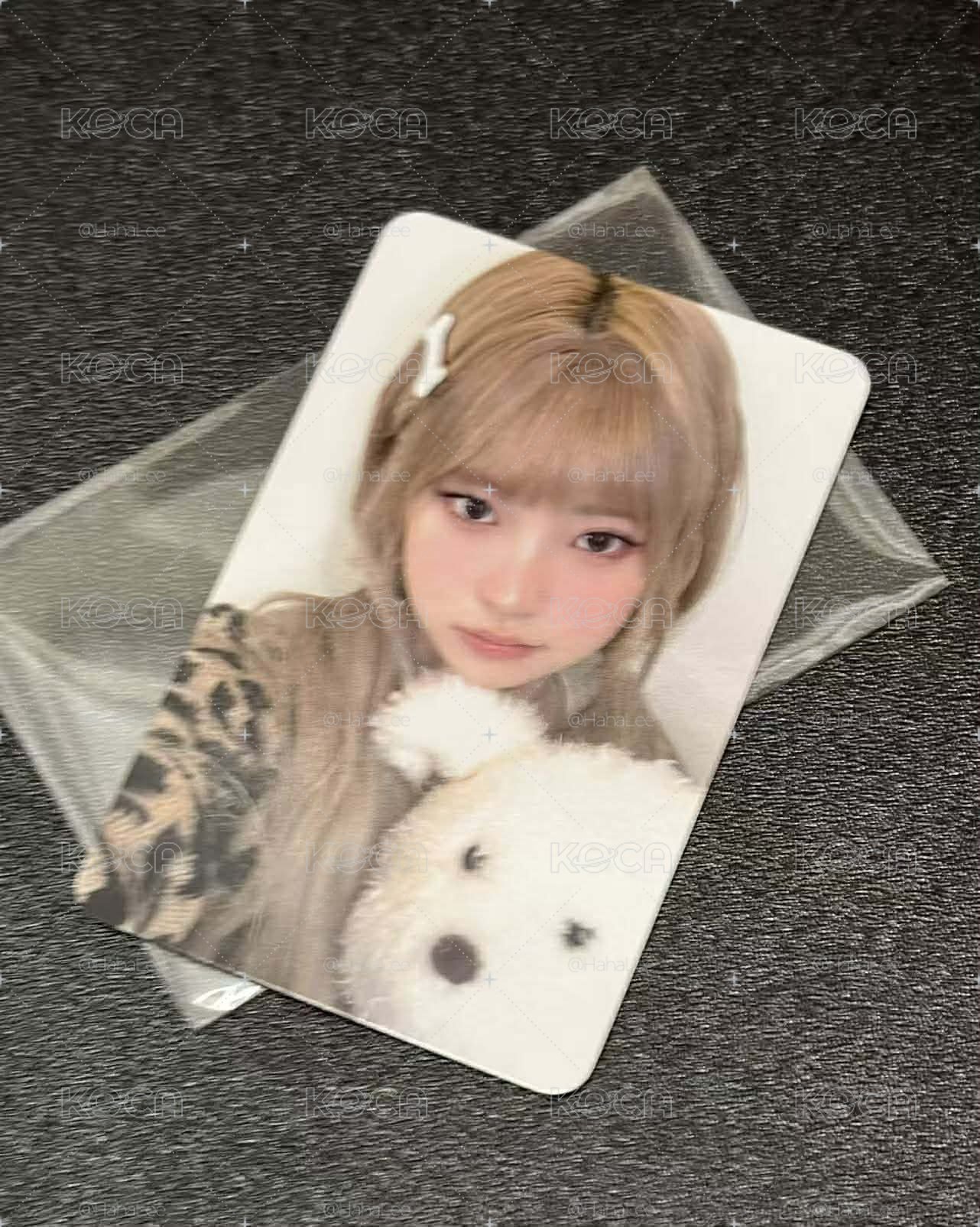 Delulu Pack hl 3.0 簽售卡 小狗