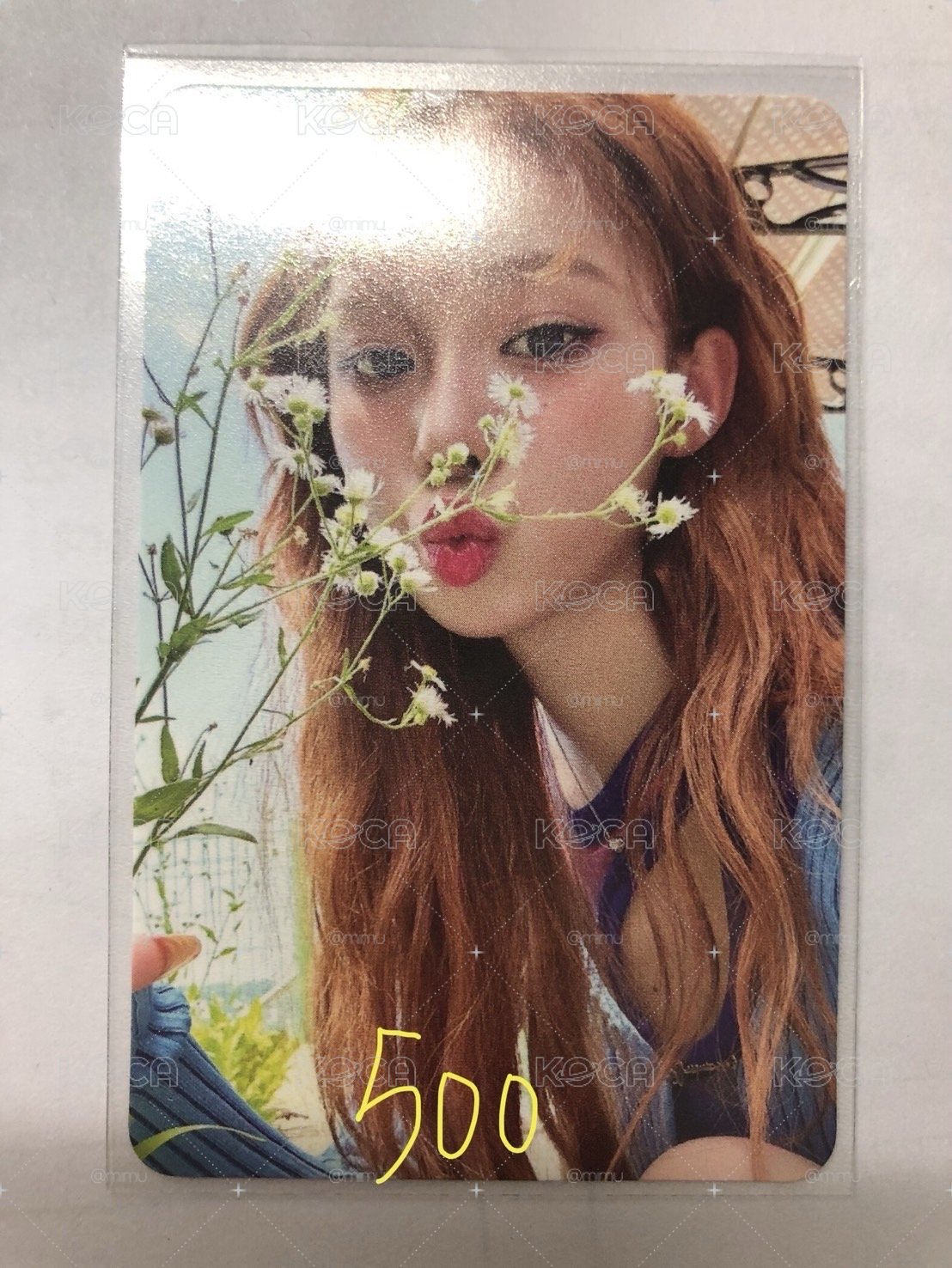 聞花冬