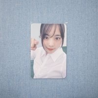 襯衫燕