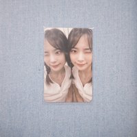 鏡子燕
