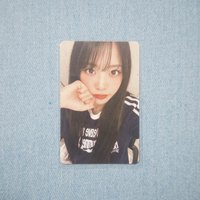 拳頭燕
