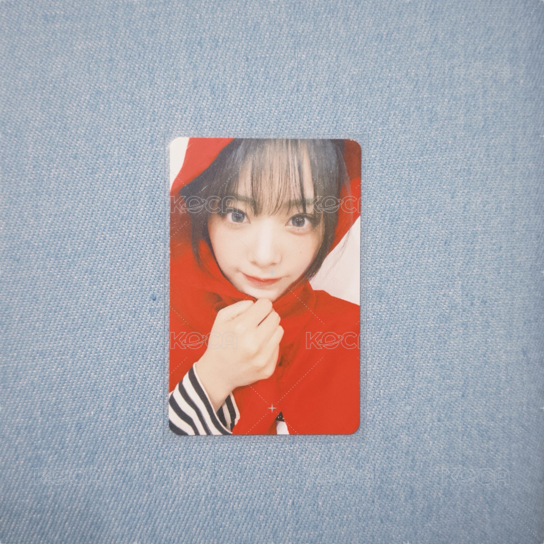 小紅帽燕