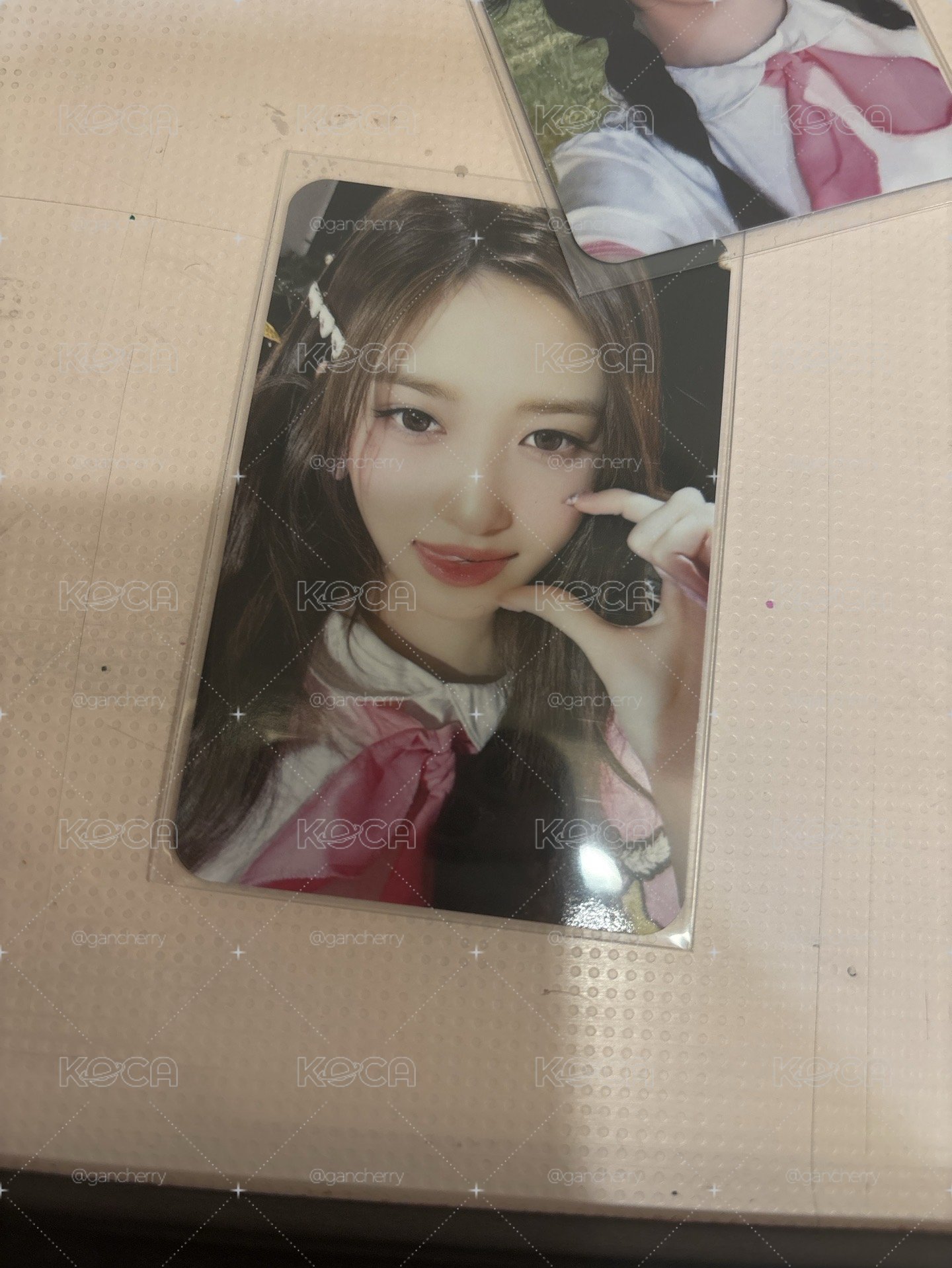 三期會員禮瑞