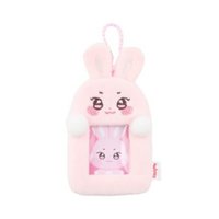 ANITEEZ IN COLOR 卡套 (組) MINI PHOTO HOLDER