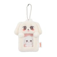 ANITEEZ IN COLOR 卡套 (組) MINI PHOTO HOLDER