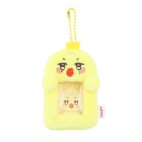 ANITEEZ IN COLOR 卡套 (組) MINI PHOTO HOLDER