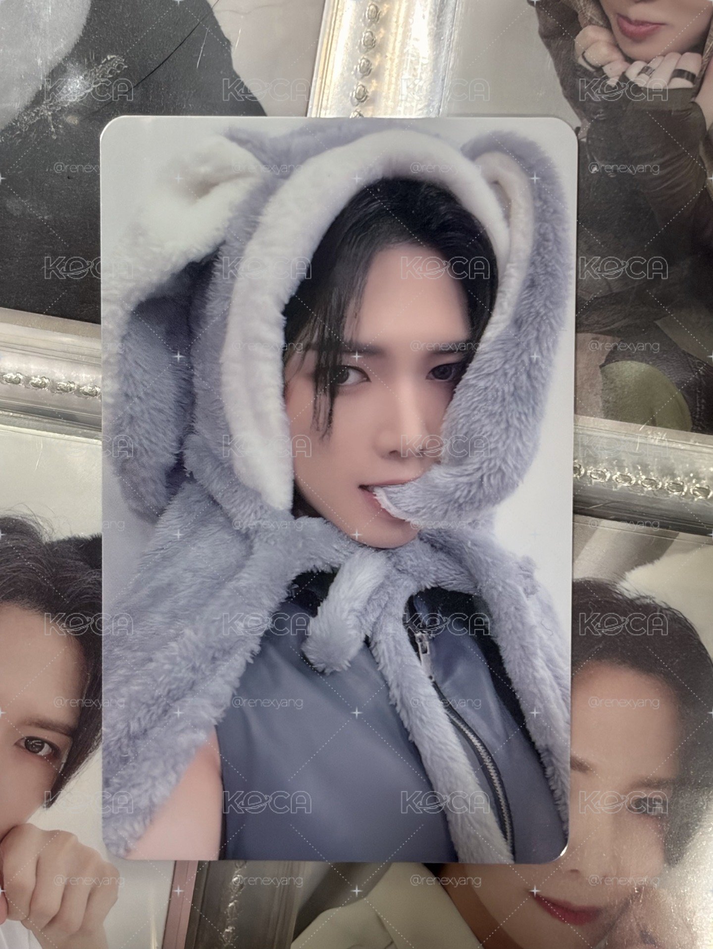 From the Witness ms 幸運卡 灰兔尚