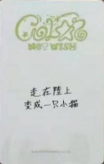 Color yzy 4.0 簽售卡  背面