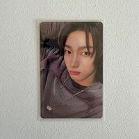 成淏 19.99 專卡