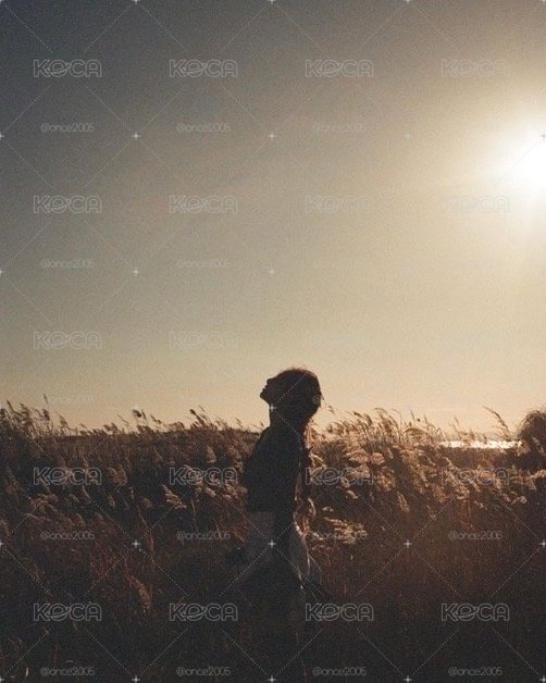 賣場公告 下單前請閱讀🩵