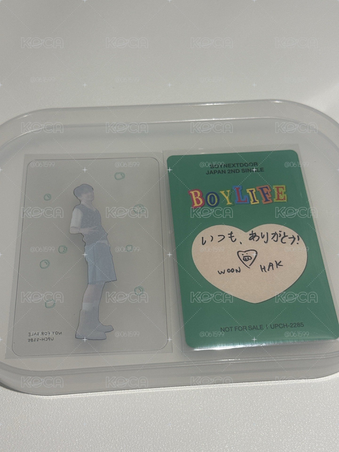 嘟嘴小鶴