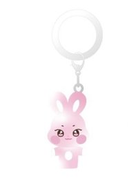 ANITEEZ IN COLOR 鑰匙圈吊飾 CLEAR MASCOT CHARM