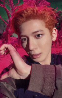 迷八 日咖 pb版 特典卡 