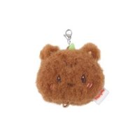 ANITEEZ IN COLOR 鑰匙圈吊飾 LINKABLE FACE KEYRING