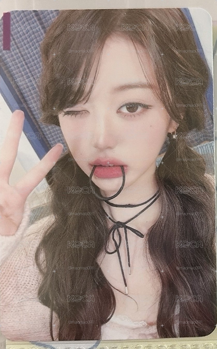 髮圈員 🖤