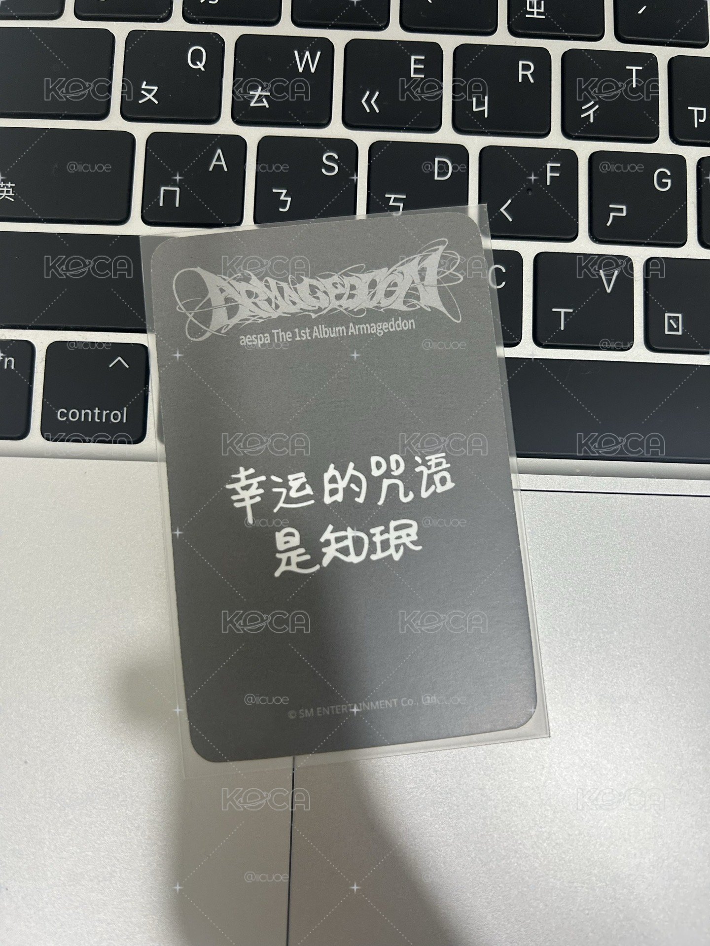 正規一 sr 特典卡 星河預售B柚 金髮柚