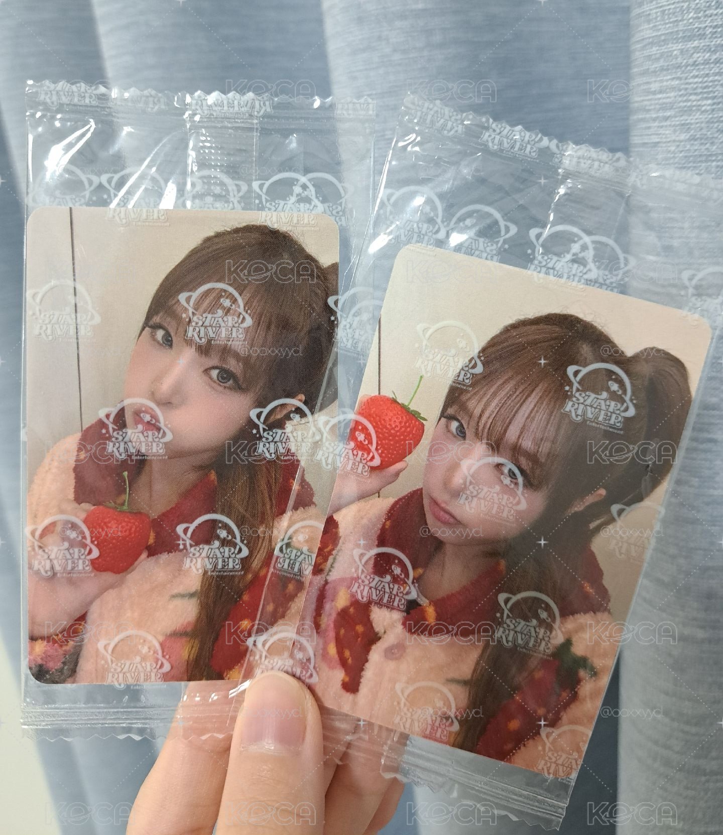 sr 喜歡草莓 YENA 中文卡背