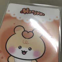弘中（背面有損）