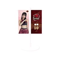 2024 WING STARS商品 2024 WS X 盲包系列