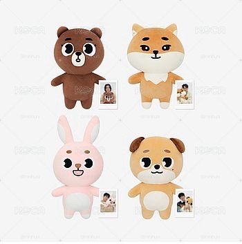 2024🐰巨娃（不含卡）+元弼solo小東西 