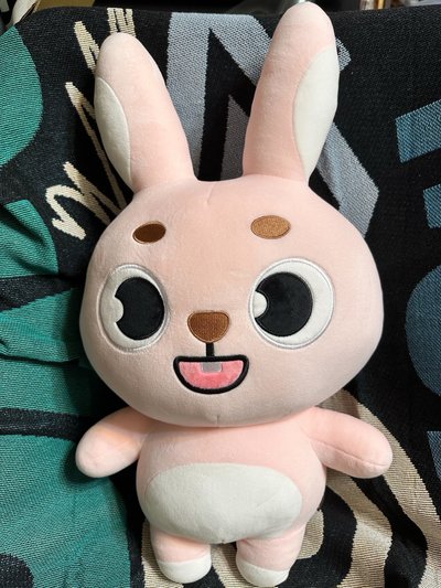 2024🐰巨娃（不含卡）+元弼solo小東西 