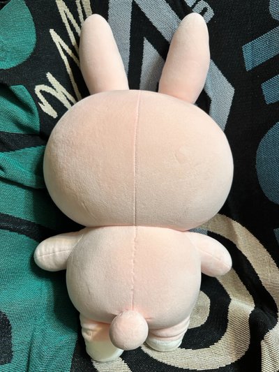 2024🐰巨娃（不含卡）+元弼solo小東西 