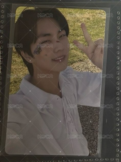 圖一左下