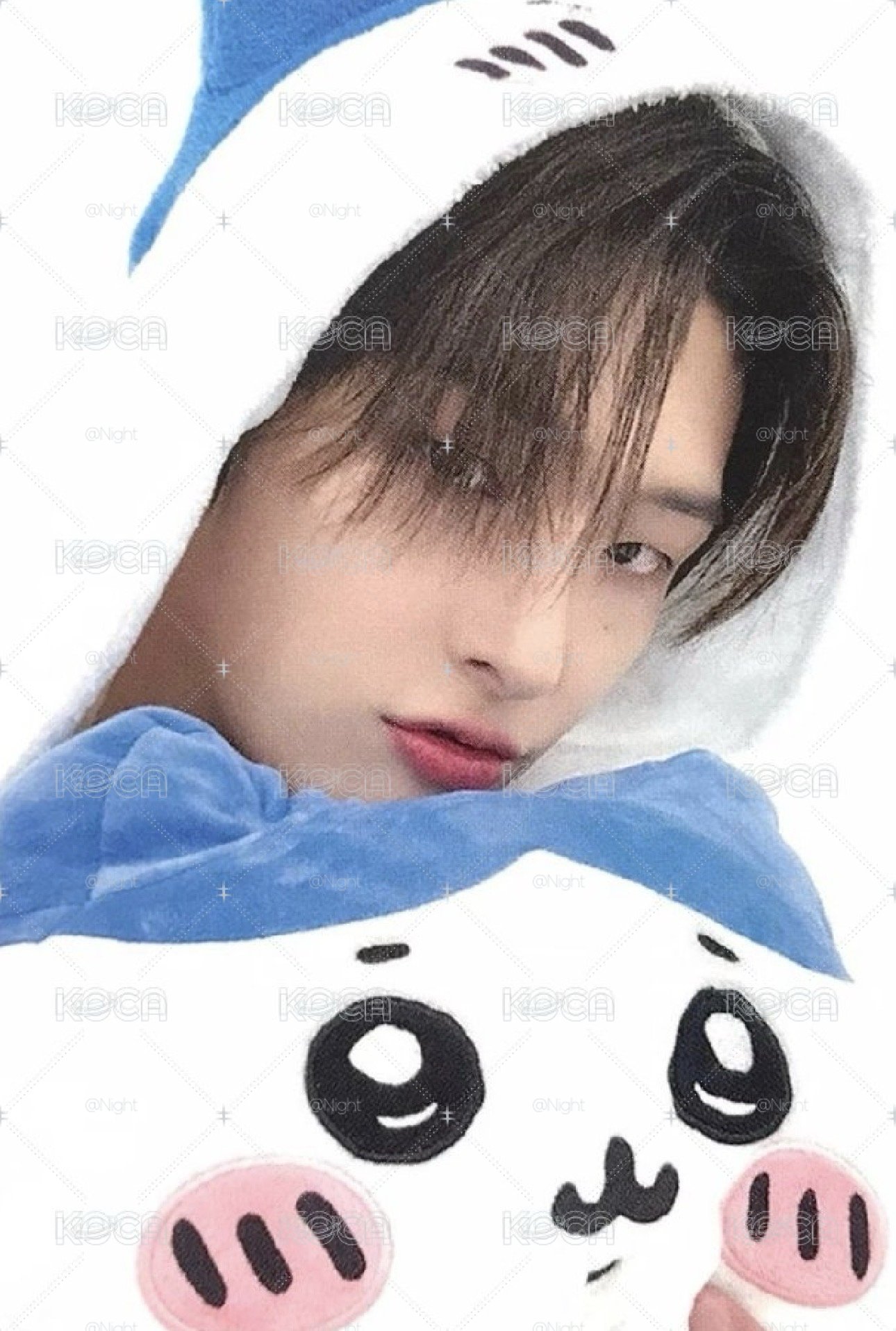 小八琦