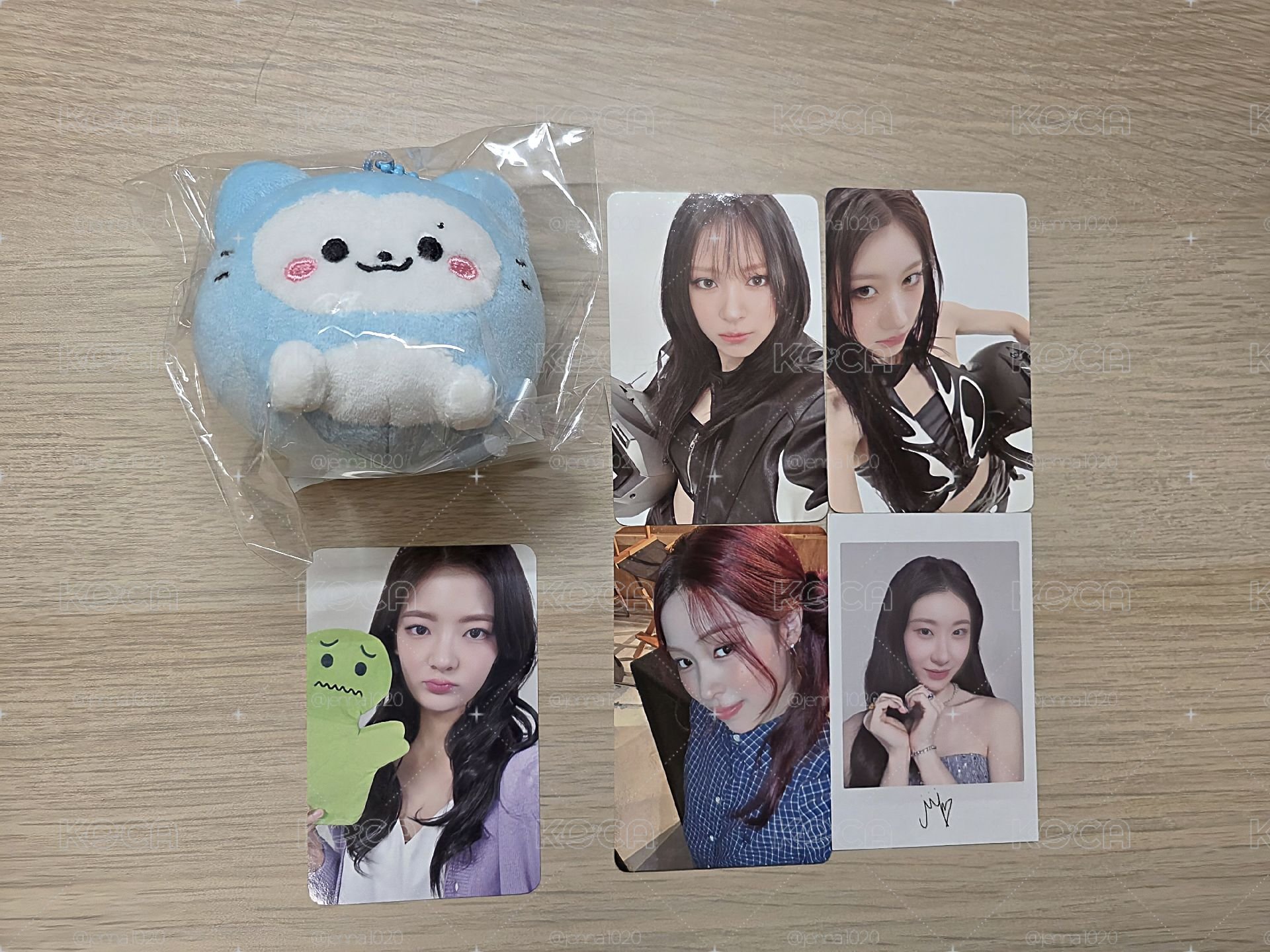 園滾滾留+小卡*5