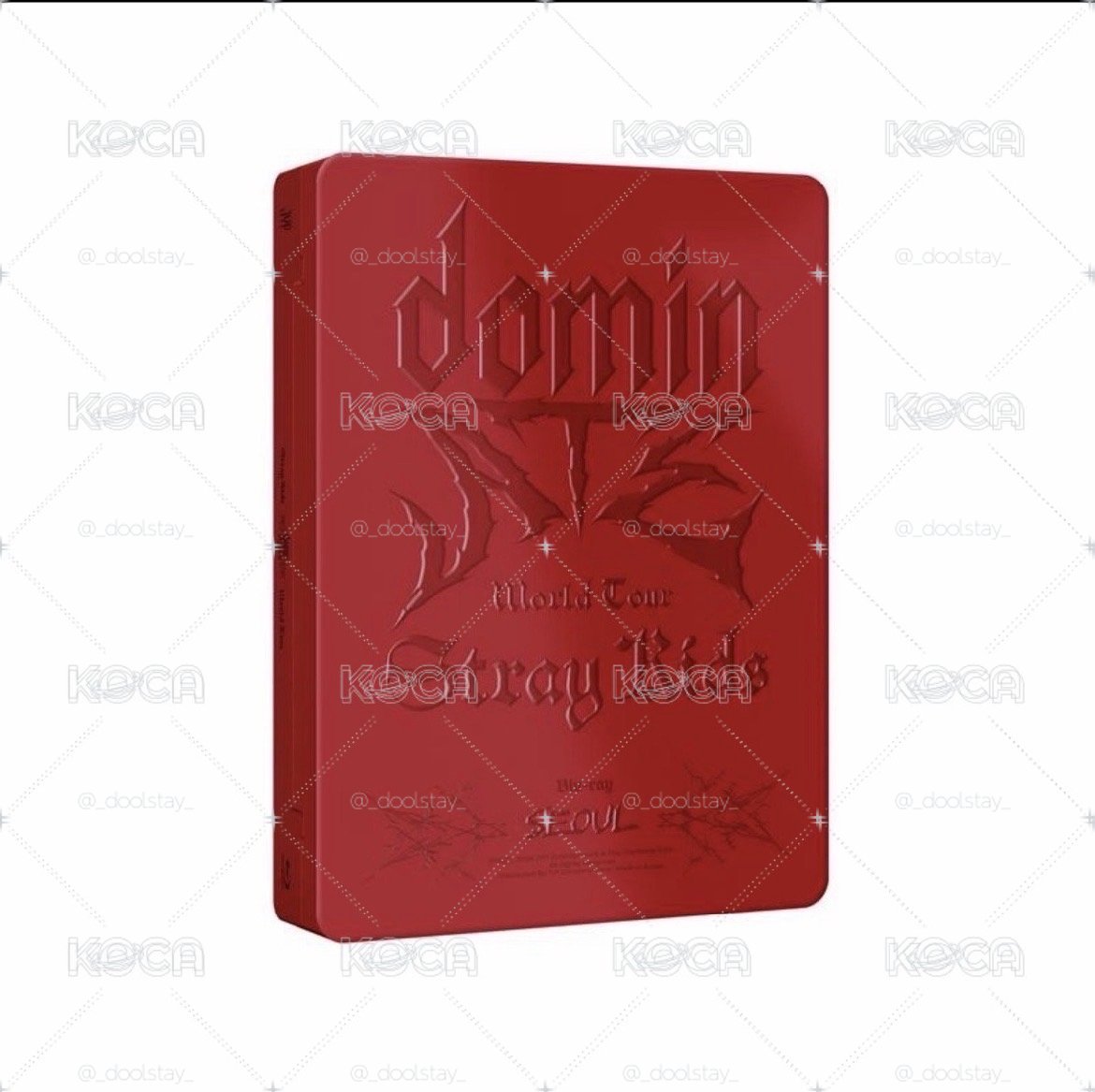 SKZ 3rd世巡DVD