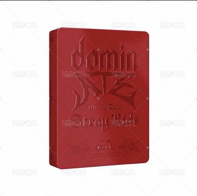 SKZ 3rd世巡DVD