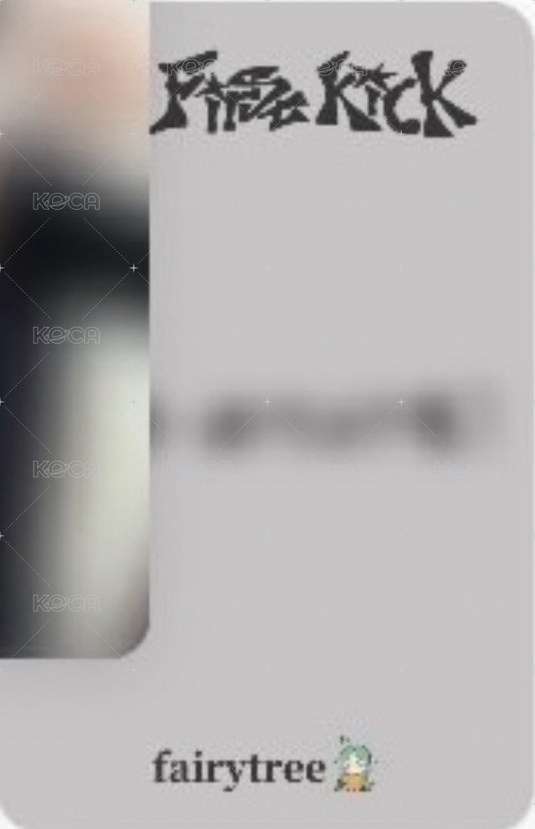 迷四 仙女樹 台北合照 簽售卡 weflip做什麼呢？ver. 背面