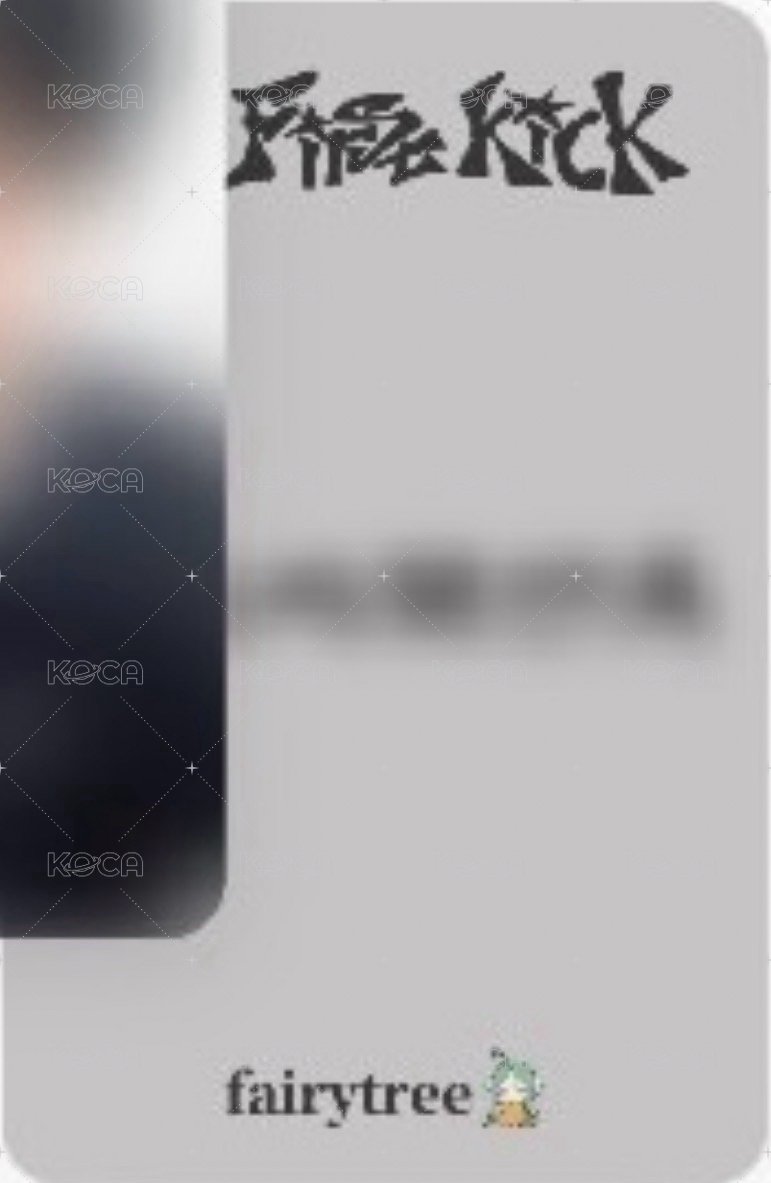 迷四 仙女樹 台北合照 簽售卡 weflip做什麼呢？ver. 背面