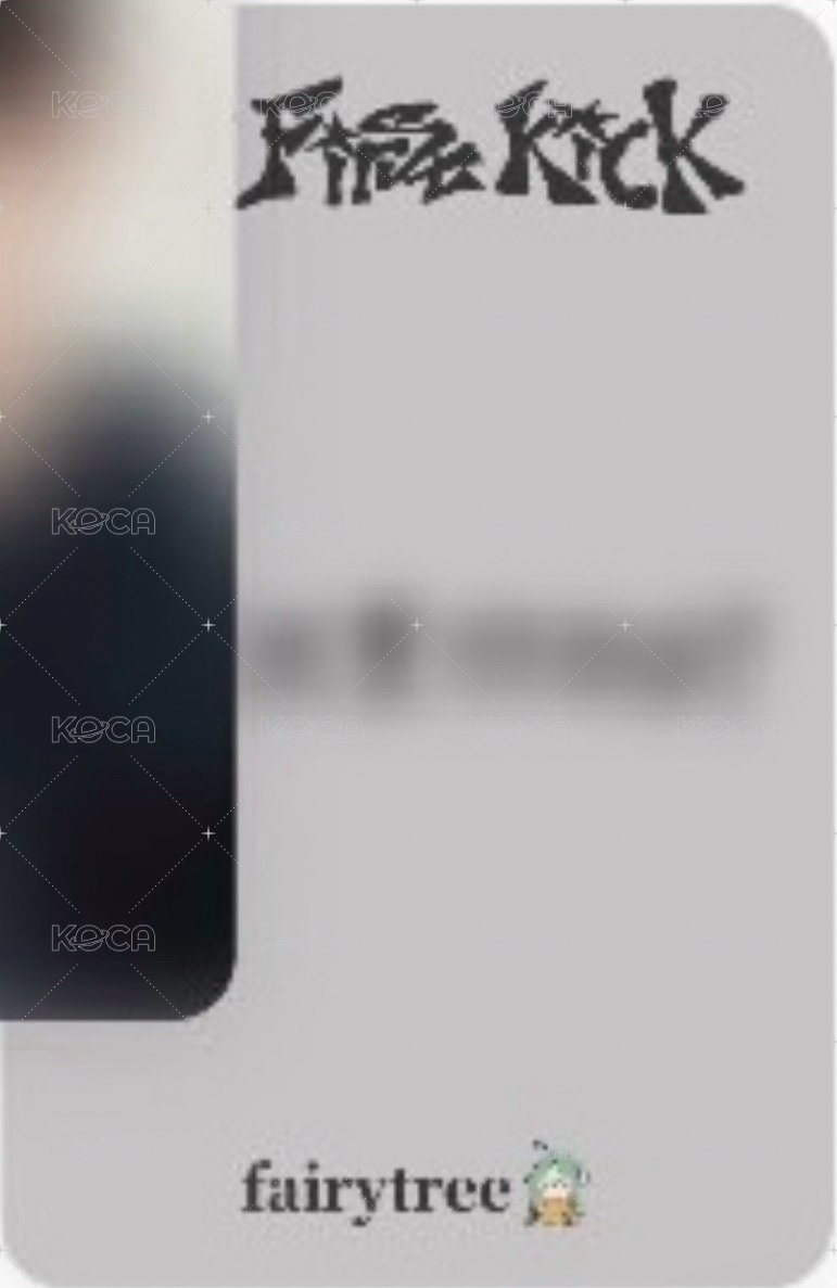 迷四 仙女樹 台北合照 簽售卡 weflip做什麼呢？ver. 背面