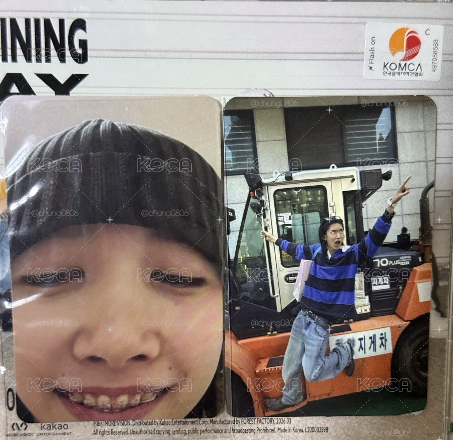 龍蝦三張圖