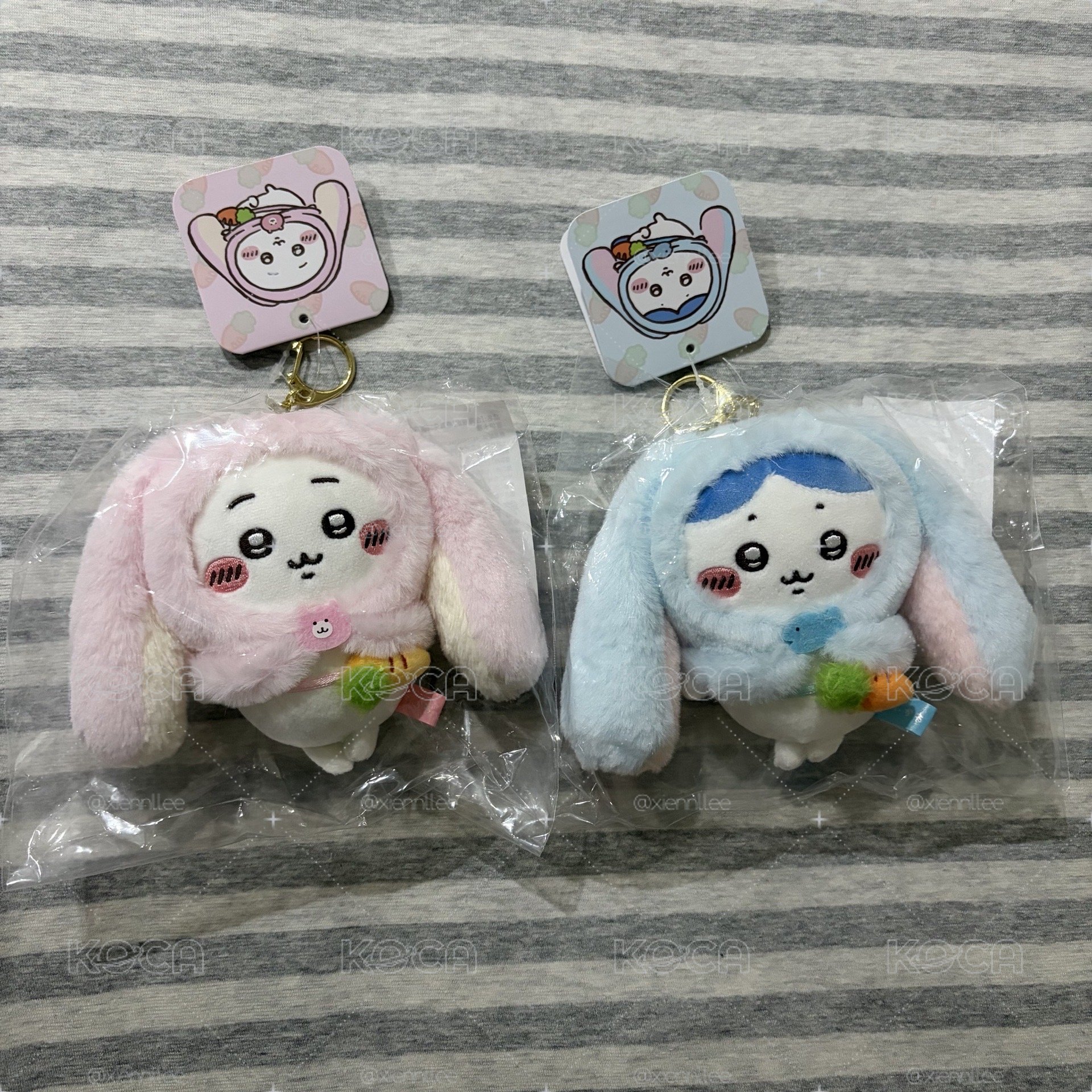 吉伊+小八