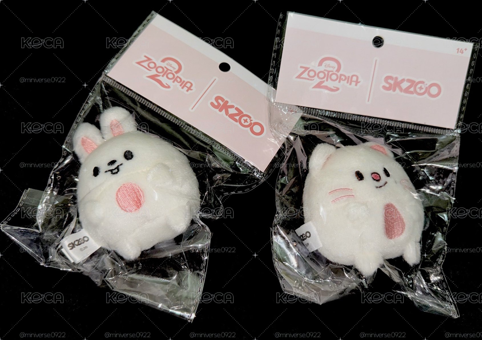 動物方程式 聯名娃&滿額卡（直出）