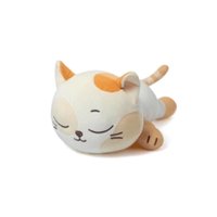 [預購]BBNEXDO趴娃 CATBBI 