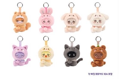 （預購）ANITEEZ IN COLOR 周邊