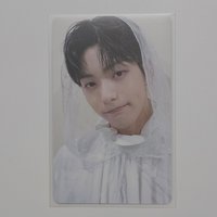 21 FANLIVE DVD卡 