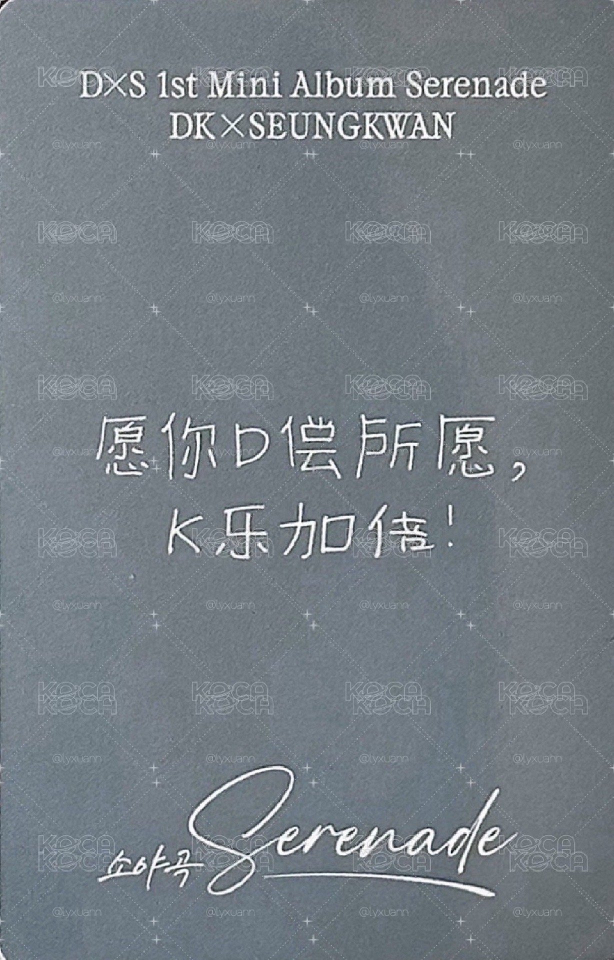 DxS 碩珉中文卡背