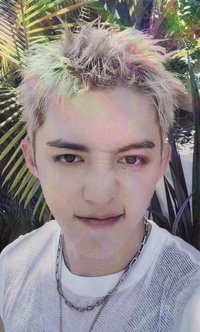 CxM ‘𝙃𝙔𝙋𝙀 𝙑𝙄𝘽𝙀𝙎’ hmv 抽選卡 