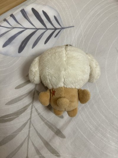 原皮栗嘻