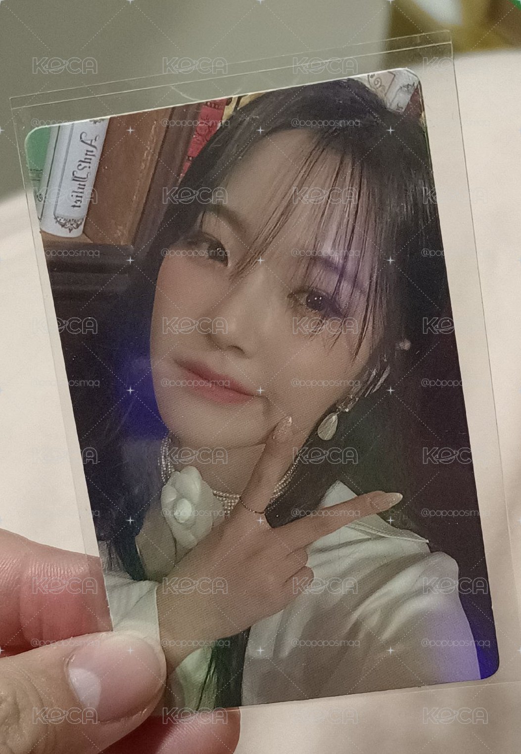 年曆白 wvs特典