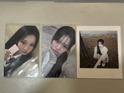 拼圖卡 小卡組（2卡+1拍立得）