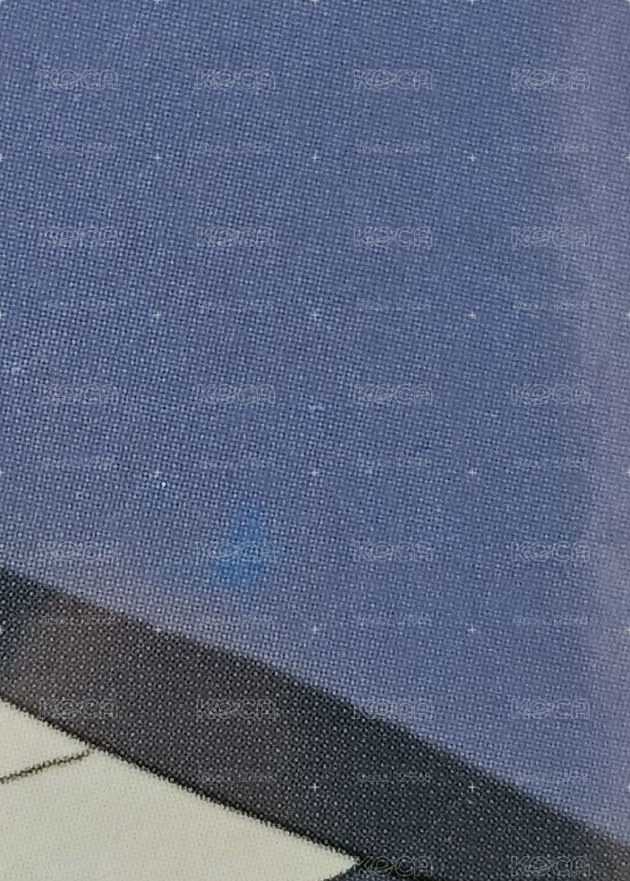 PLAVE 一期會員禮卡 💙三張一組