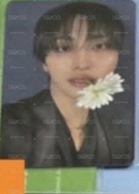 咬花花帕松花