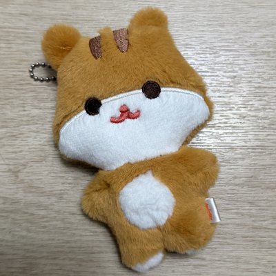 Search image