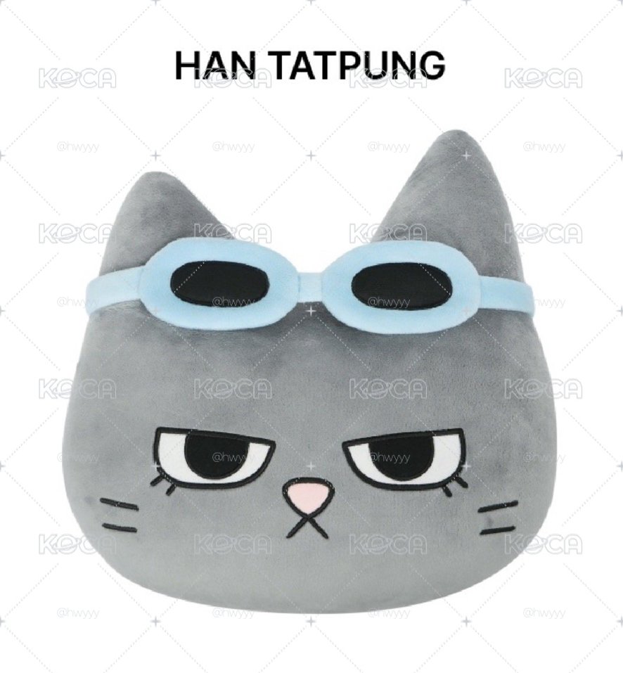 🚪🐈‍⬛BND BBNEXDO 泰山抱枕 Taesan HAN TATPUNG